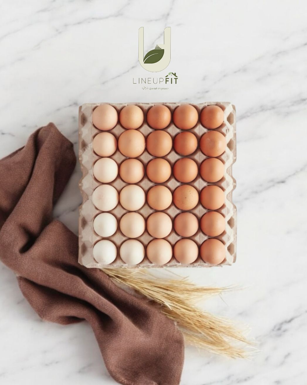 Organic Eggs بيض عضوي