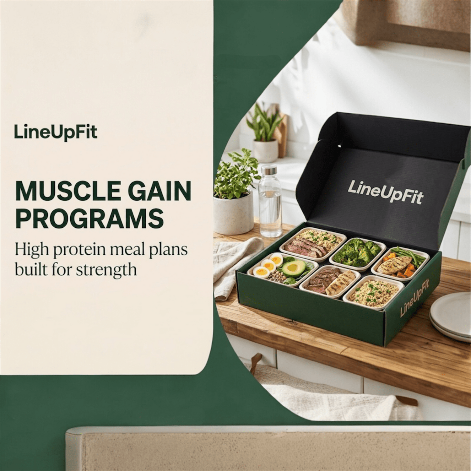 MUSCLE GAIN PROGRAMS - lineupfit
