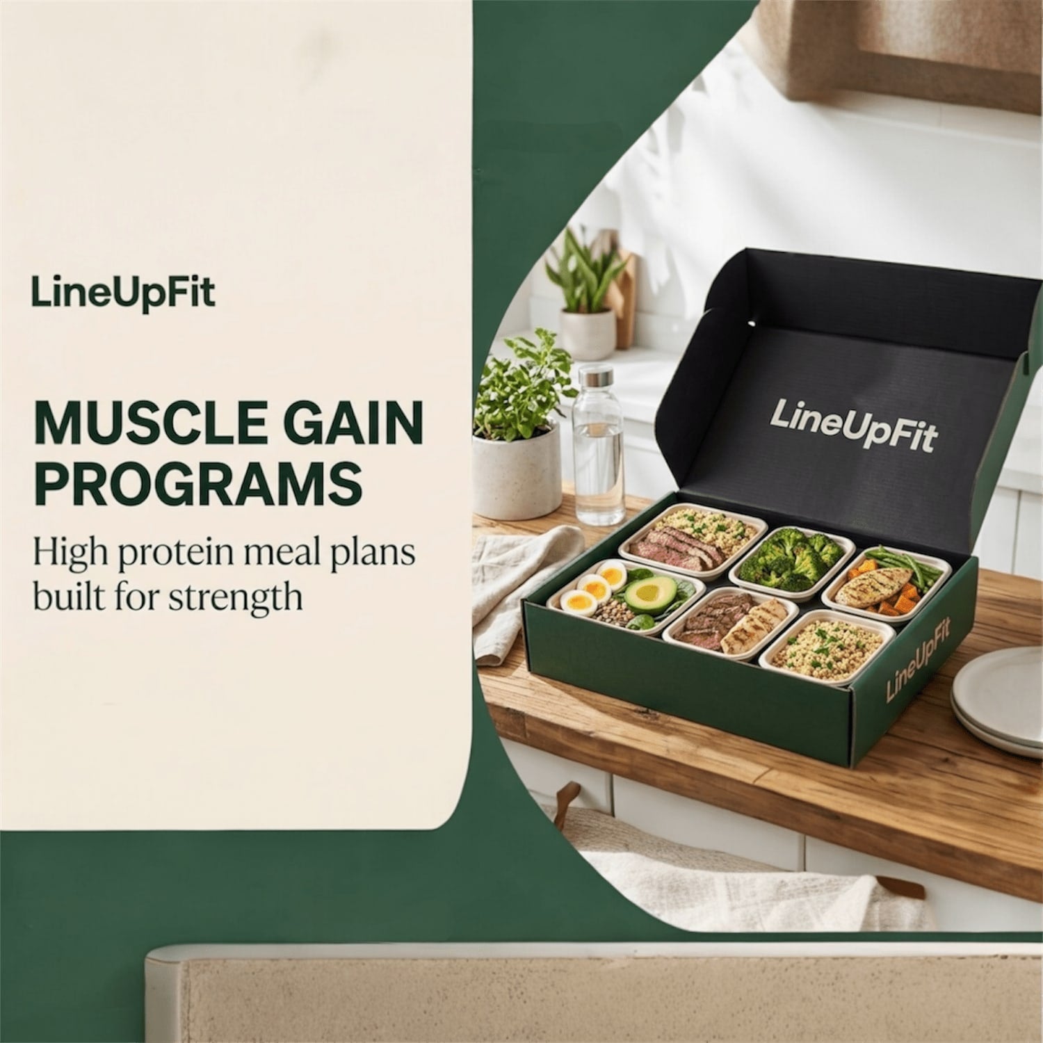 MUSCLE GAIN PROGRAMS - lineupfit